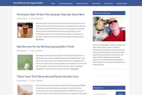 Genesis-sample theme site design template sample
