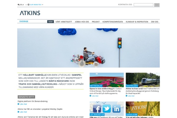 Atkins theme site design template sample