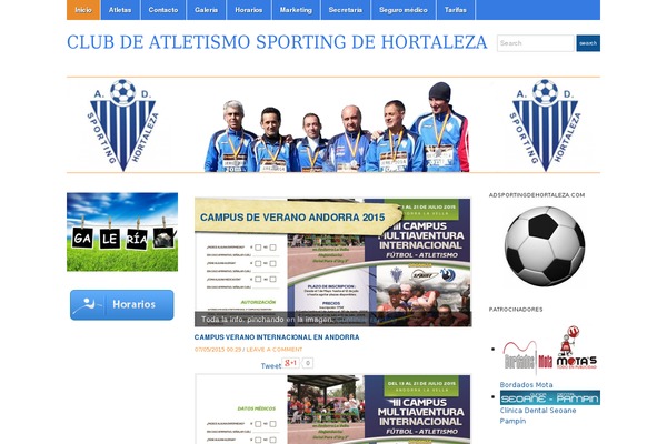 Academica theme site design template sample