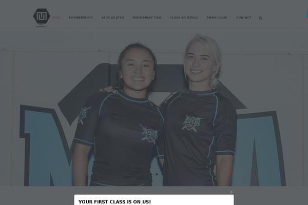 Site using WordPress PopUp plugin