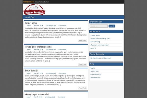 Iconic One theme site design template sample