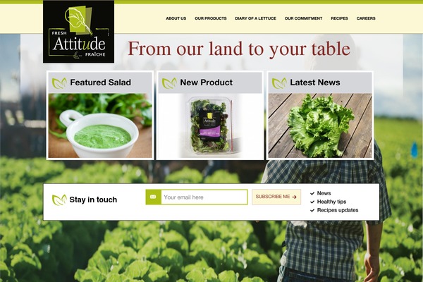 attitudefraiche.com site used Attitude-fraiche-website