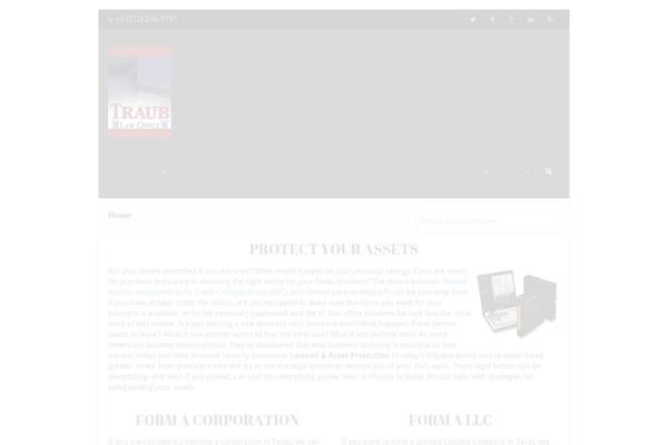 WordPress website example screenshot