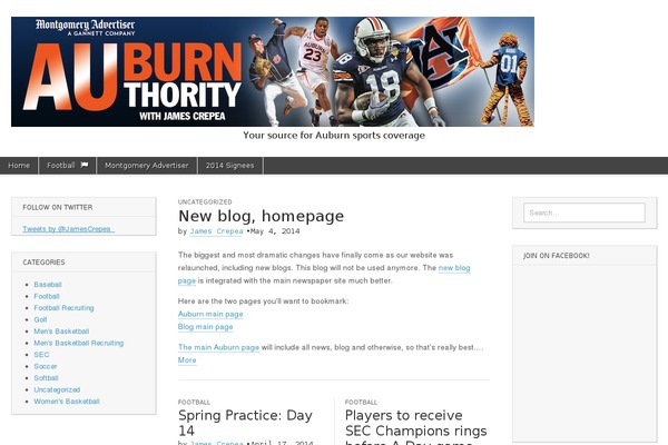 WordPress website example screenshot