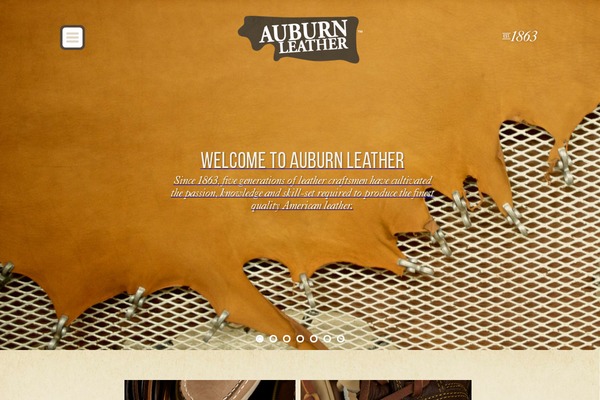 auburn theme websites examples