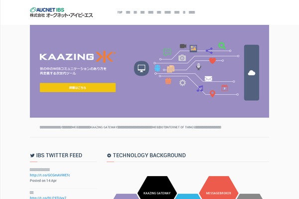 aucnet-ibs.com site used Aucnet_ibs