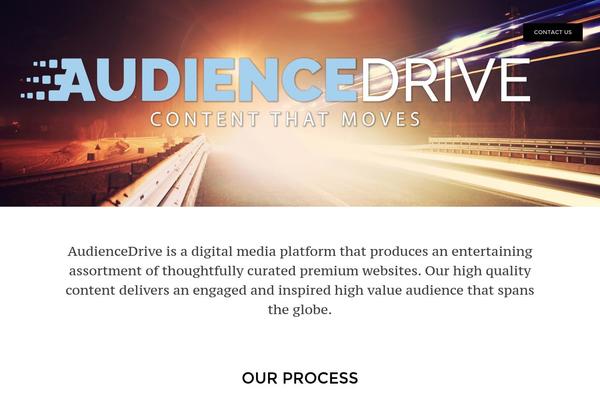 audiencedrive.com site used Business-custom