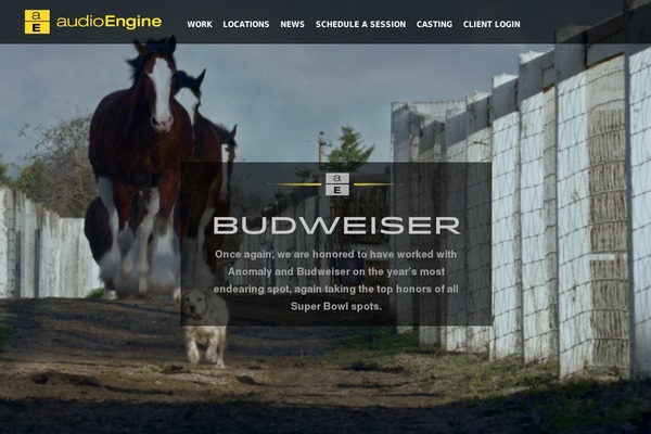 audioengine.com site used Audio-engine