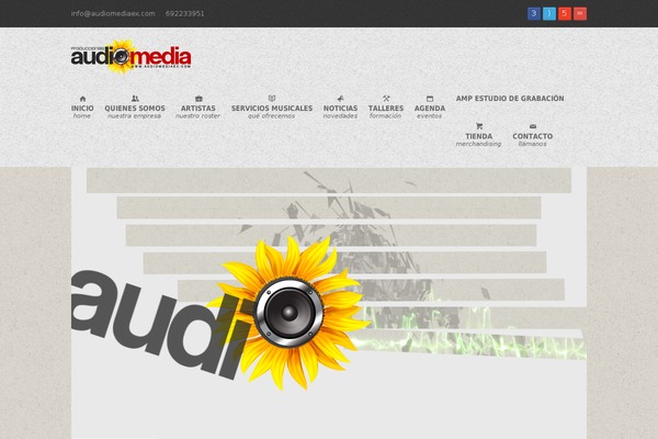 audiomediaex.com site used Audiomediatheme