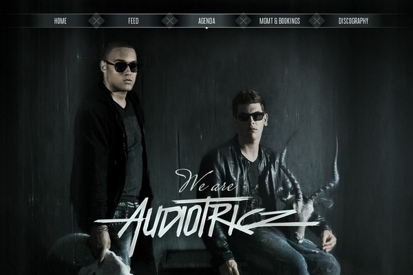 audiotricz.com site used Audiotricztheme