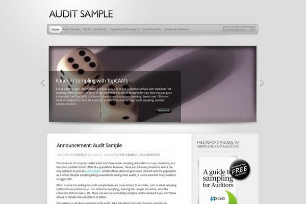 auditsample.com site used TheProfessional