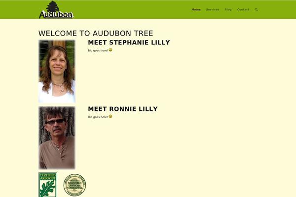 Enfold theme site design template sample