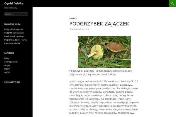 Twenty Fourteen theme site design template sample
