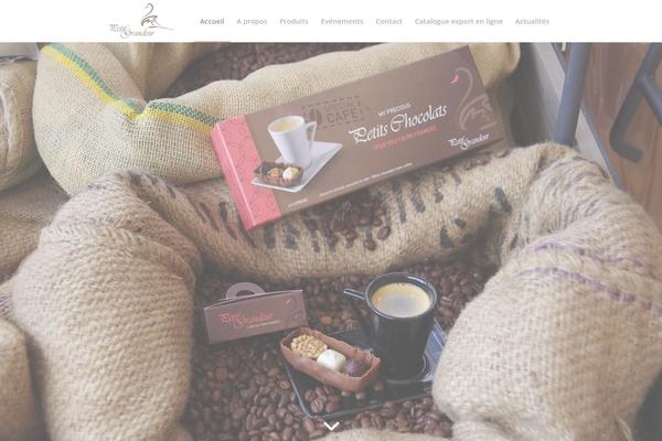 Enfold theme site design template sample