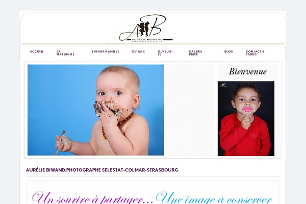 Prophoto4 theme site design template sample
