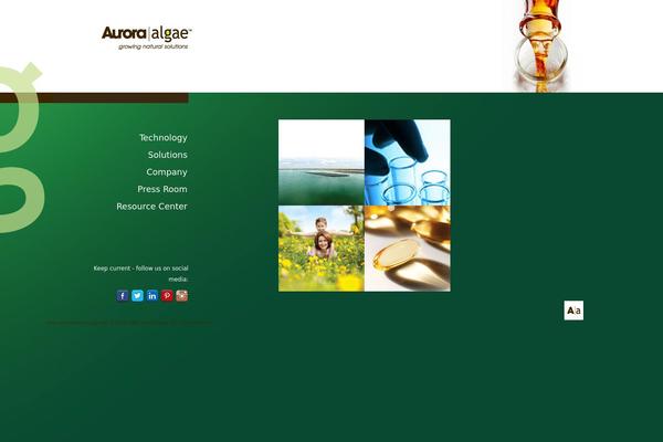 Aurora theme site design template sample