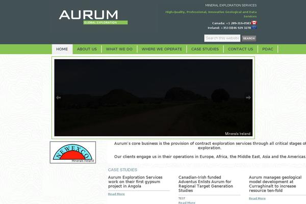 Aurum theme site design template sample