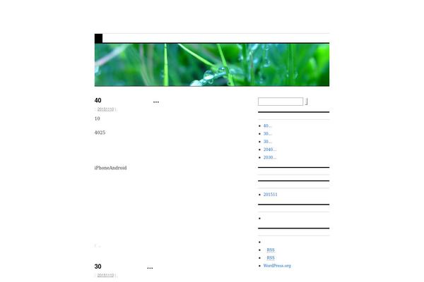 WordPress website example screenshot