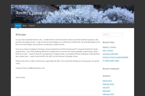 WordPress website example screenshot