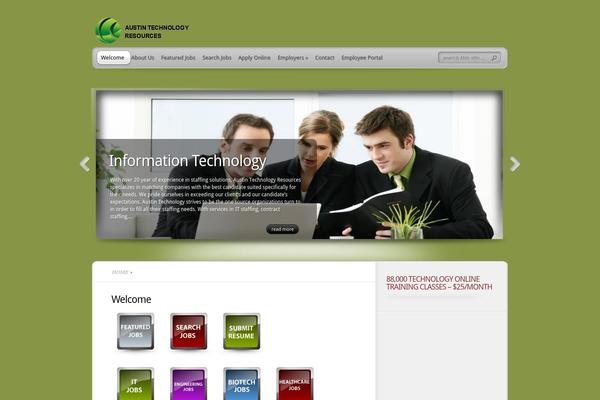 TheProfessional theme site design template sample