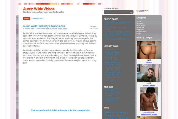 WordPress website example screenshot