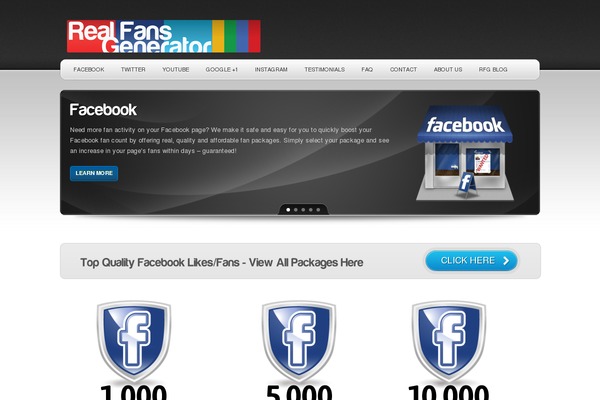 WordPress website example screenshot