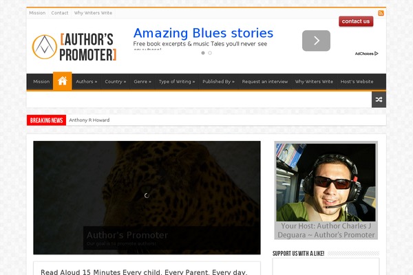 Sahifa theme site design template sample