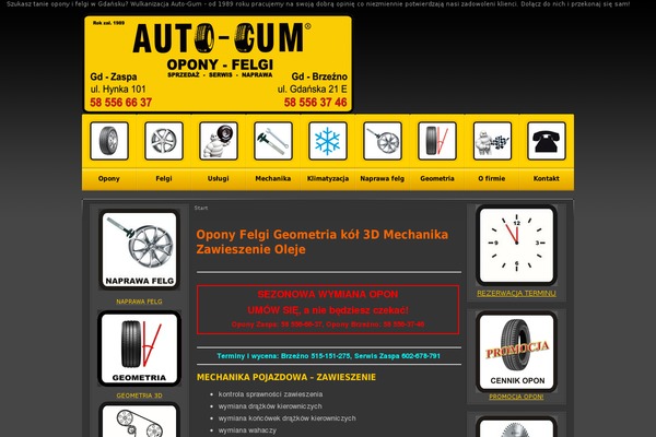 auto-gum.com.pl site used Autogum