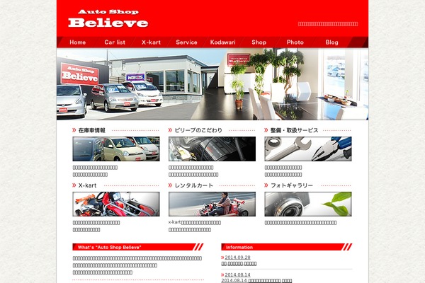 Believe theme site design template sample