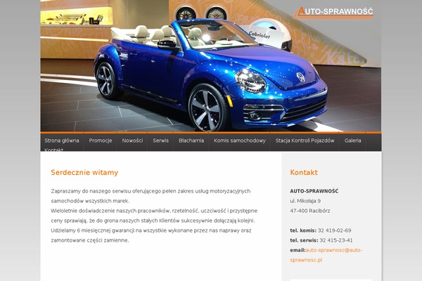 auto-sprawnosc.pl site used Euro