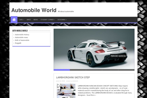 WordPress website example screenshot