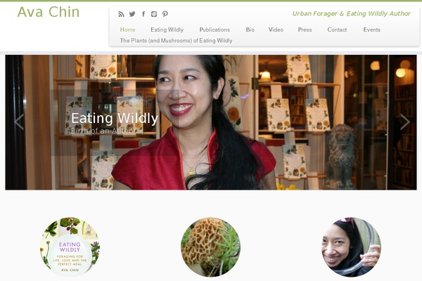 Customizr theme site design template sample