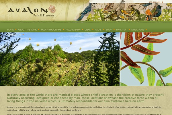 Avalon theme site design template sample