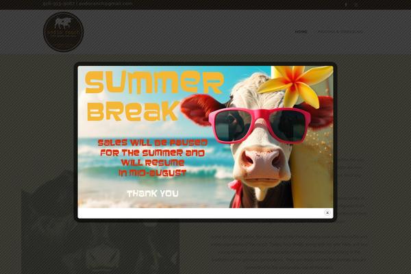WordPress website example screenshot
