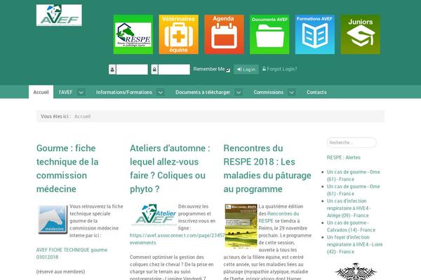 avef.fr site used Tg-ifce