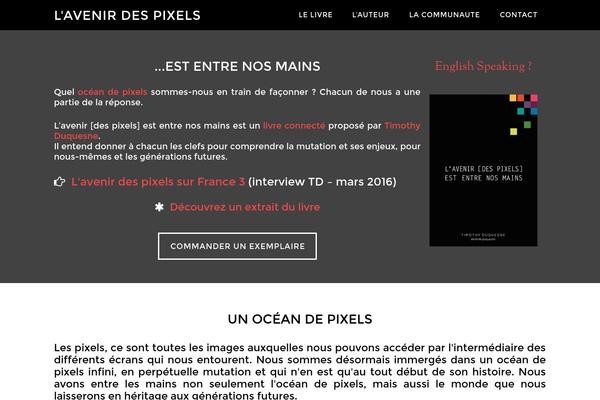 Twenty Sixteen theme site design template sample