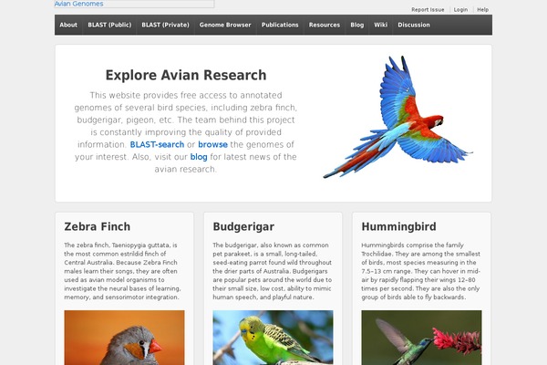 Responsive theme site design template sample