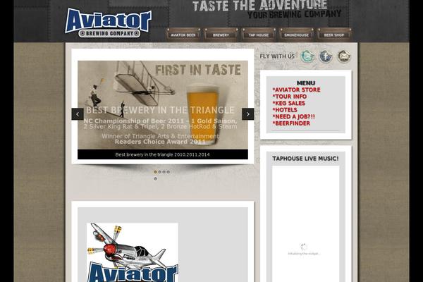 Aviator theme site design template sample
