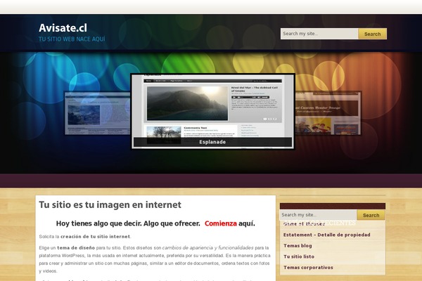 Selene theme websites examples