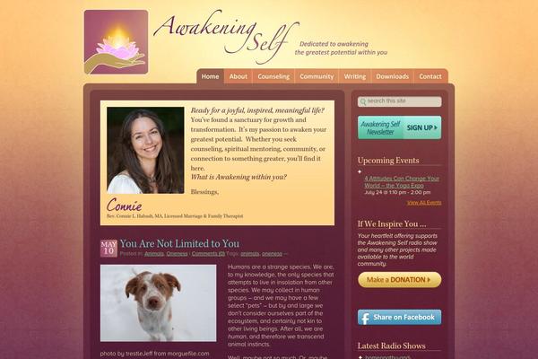 Site using AJAX Contact plugin