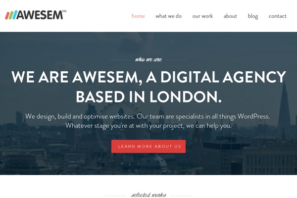 awesem theme websites examples