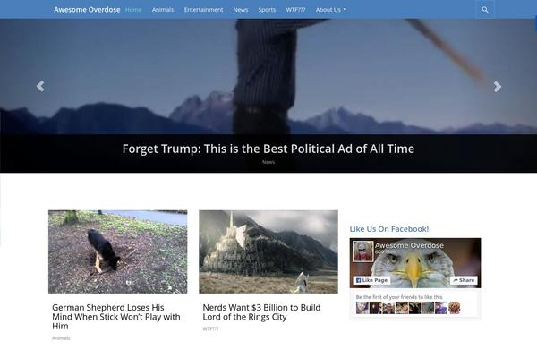 WordPress website example screenshot