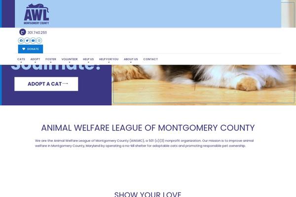 awlmc.org site used Buzz-rescues-child
