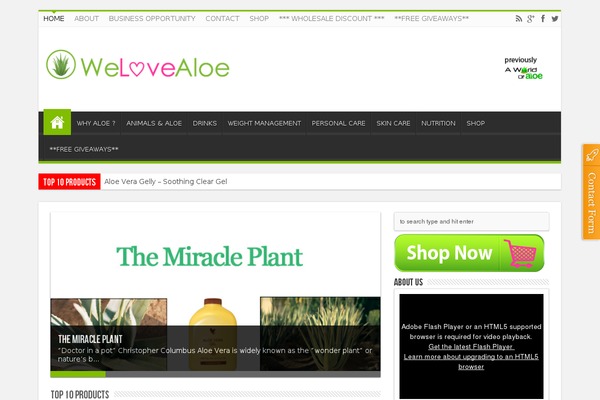 WordPress website example screenshot