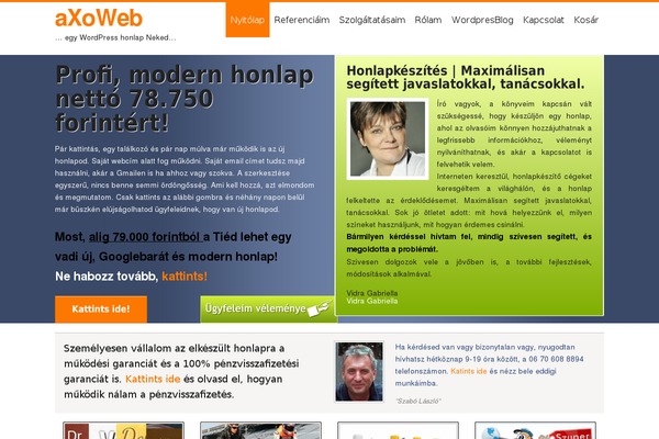 WordPress website example screenshot