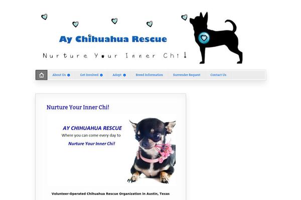 aychihuahuarescue.org site used Artificer