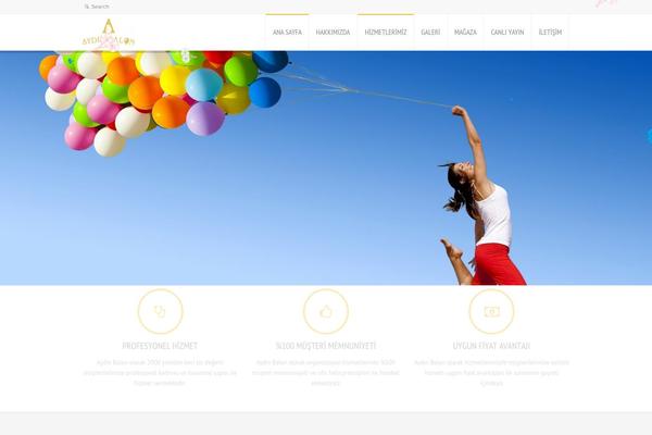 aydinbalon.com site used Balon