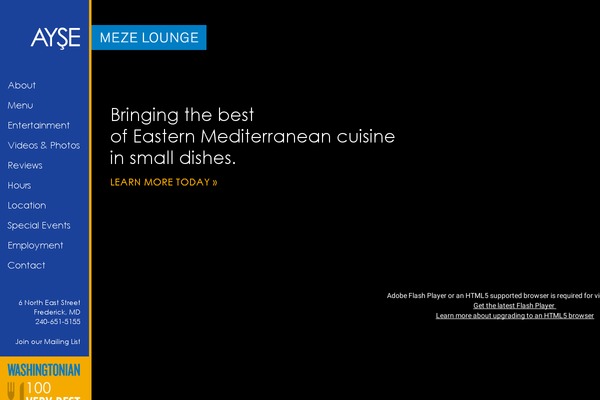 ayse theme websites examples