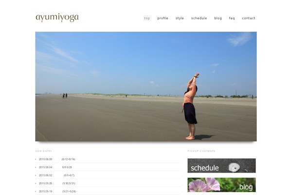 WordPress website example screenshot