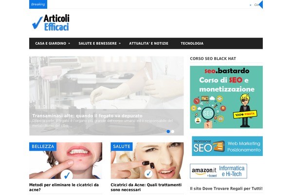 professioneseo theme websites examples